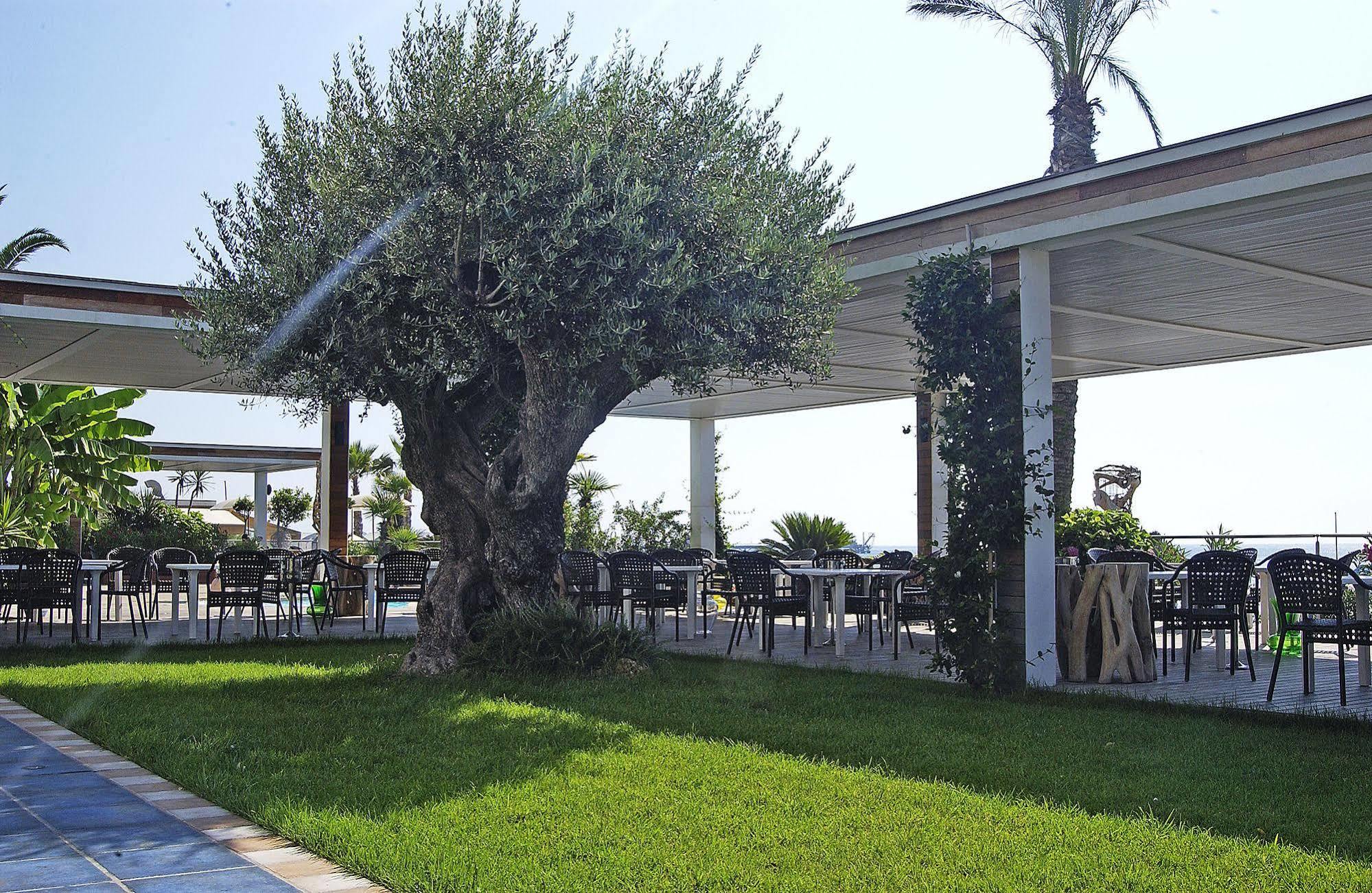 Mare Savona